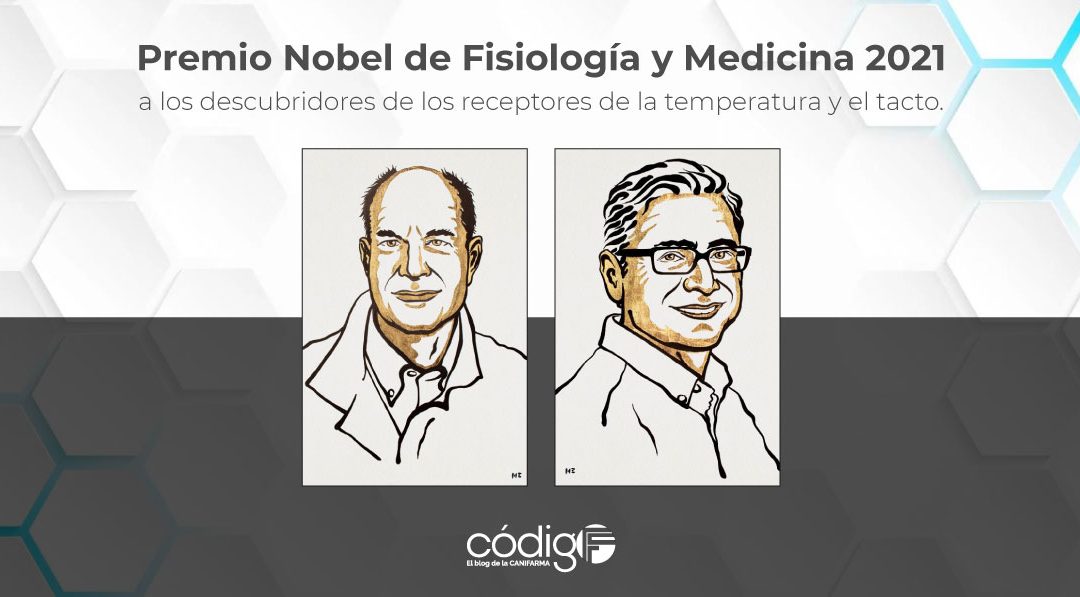 Premio Nobel de Fisiología y Medicina 2021 a los descubridores de los receptores de la temperatura y el tacto.