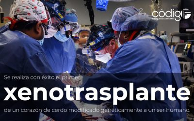 Se realiza con éxito el primer xenotrasplante de un corazón de cerdo modificado genéticamente a un ser humano.