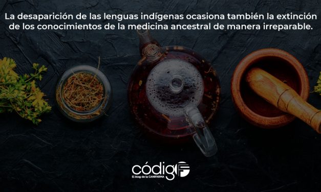 La desaparición de las lenguas indígenas ocasiona también la extinción de los conocimientos de la medicina ancestral de manera irreparable.