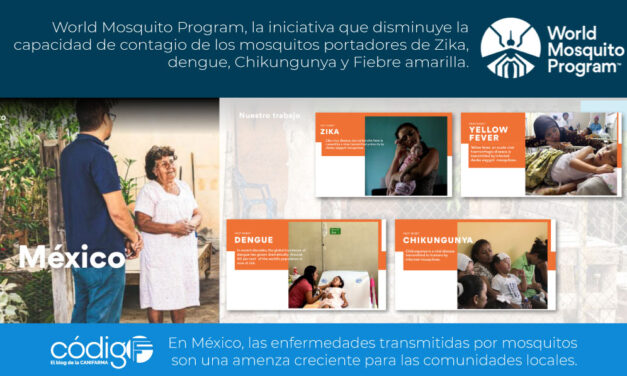 World Mosquito Program, la iniciativa que disminuye la capacidad de contagio de los mosquitos portadores de Zika, dengue, Chikungunya y Fiebre amarilla.