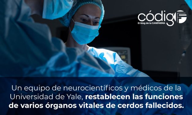 Un equipo de neurocientíficos y médicos de la Universidad de Yale, restablecen las funciones de varios órganos vitales de cerdos fallecidos.