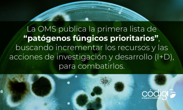 La OMS publica la primera lista de “patógenos fúngicos prioritarios”, buscando incrementar los recursos y las acciones de investigación y desarrollo (I+D), para combatirlos.