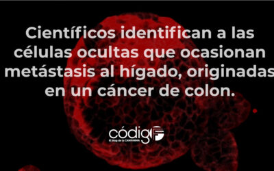Científicos identifican a las células ocultas que ocasionan metástasis al hígado, originadas en un cáncer de colon.