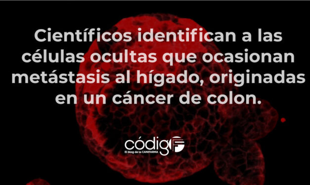 Científicos identifican a las células ocultas que ocasionan metástasis al hígado, originadas en un cáncer de colon.