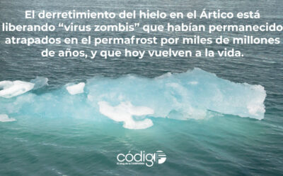 El derretimiento del hielo en el Ártico está liberando “virus zombis” que habían permanecido atrapados en el permafrost por miles de millones de años, y que hoy vuelven a la vida.