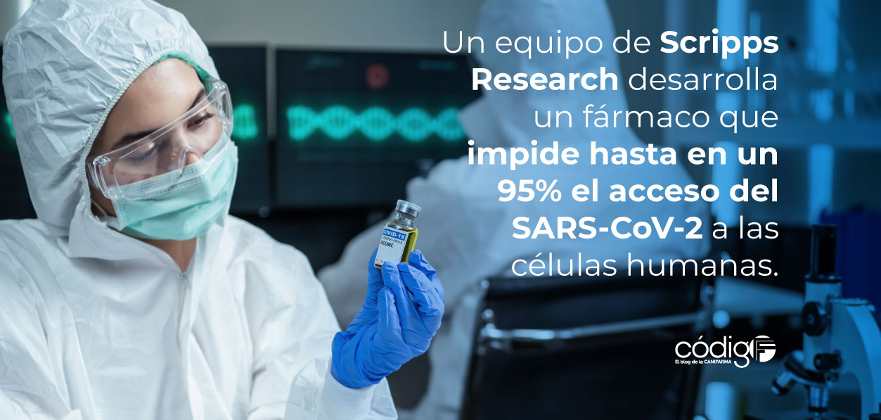 Un equipo de Scripps Research desarrolla un fármaco que impide hasta en un 95 % el acceso del SARS-CoV-2 a las células humanas.