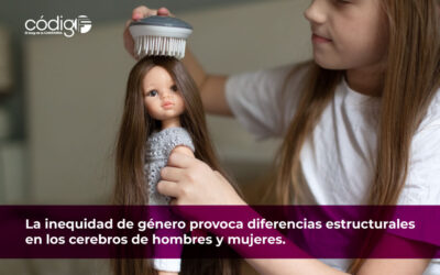 La inequidad de género provoca diferencias estructurales en los cerebros de hombres y mujeres.