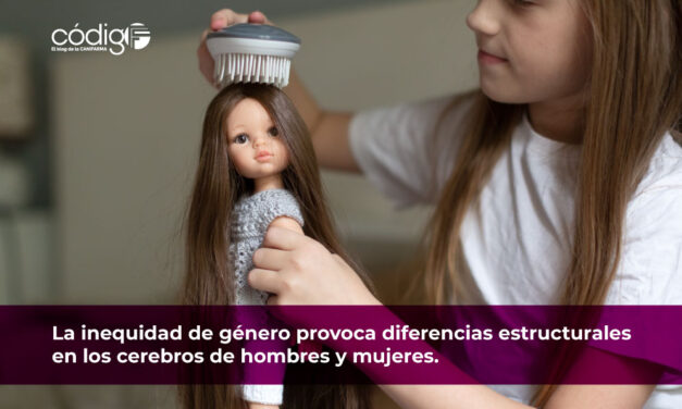 La inequidad de género provoca diferencias estructurales en los cerebros de hombres y mujeres.