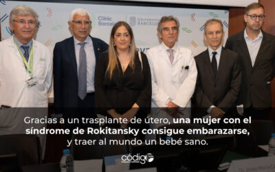 Gracias a un trasplante de útero, una mujer con el síndrome de Rokitansky consigue embarazarse, y traer al mundo un bebé sano.