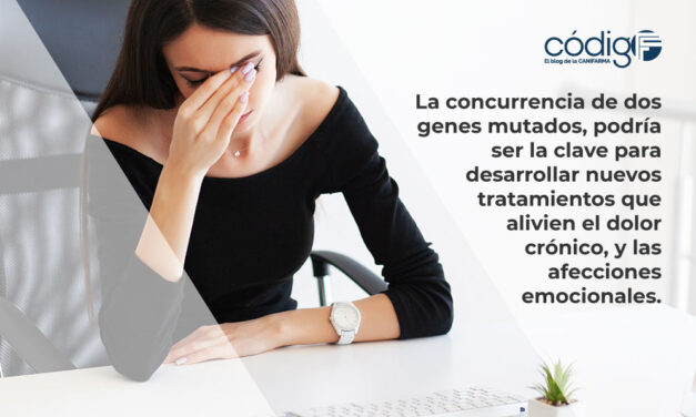 La concurrencia de dos genes mutados, podría ser la clave para desarrollar nuevos tratamientos que alivien el dolor crónico, y las afecciones emocionales.