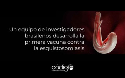 Un equipo de investigadores brasileños desarrolla la primera vacuna contra la esquistosomiasis.