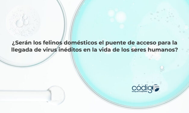 ¿Serán los felinos domésticos el puente de acceso para la llegada de virus inéditos en la vida de los seres humanos?