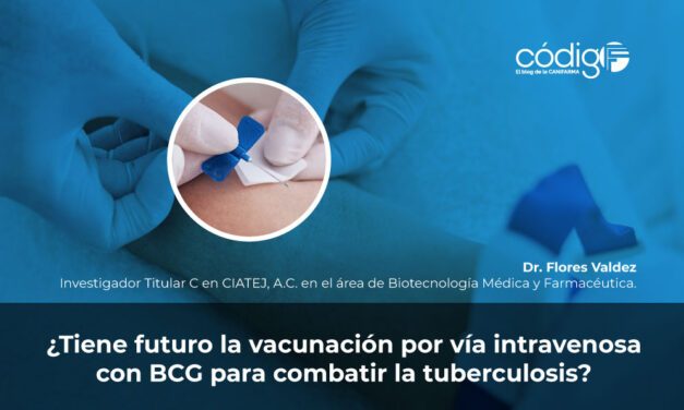 ¿Tiene futuro la vacunación por vía intravenosa con BCG para combatir la tuberculosis?