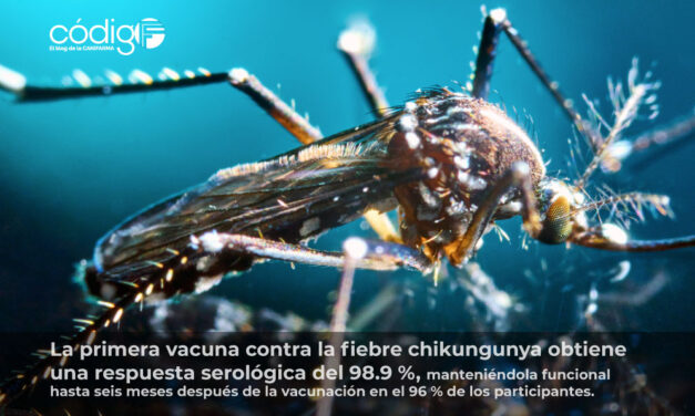 La primera vacuna contra la fiebre chikungunya obtiene una respuesta serológica del 98.9 %, manteniéndola funcional hasta seis meses después de la vacunación en el 96 % de los participantes.