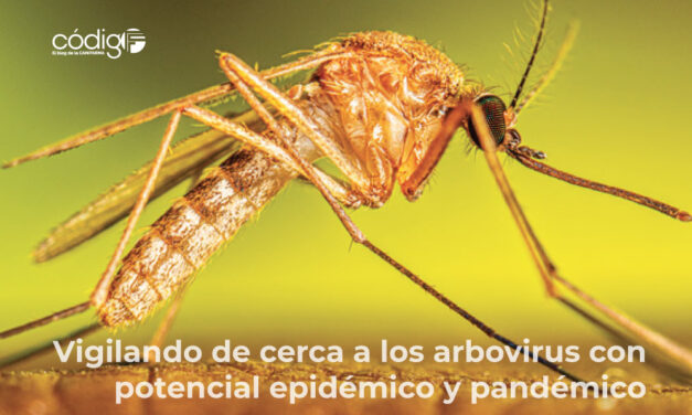 Vigilando de cerca a los arbovirus con potencial epidémico y pandémico