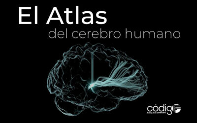 El Atlas del cerebro humano