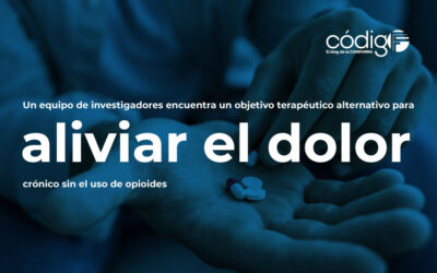 Un equipo de investigadores encuentra un objetivo terapéutico alternativo para aliviar el dolor crónico sin el uso de opioides