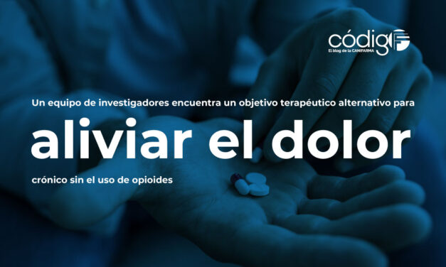 Un equipo de investigadores encuentra un objetivo terapéutico alternativo para aliviar el dolor crónico sin el uso de opioides