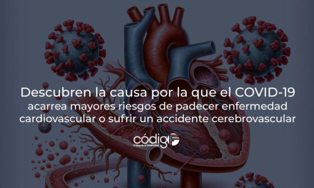 Descubren la causa por la que el COVID-19 acarrea mayores riesgos de padecer enfermedad cardiovascular o sufrir un accidente cerebrovascular