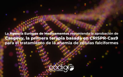 La Agencia Europea de Medicamentos recomienda la aprobación de Casgevy, la primera terapia basada en CRISPR-Cas9 para el tratamiento de la anemia de células falciformes