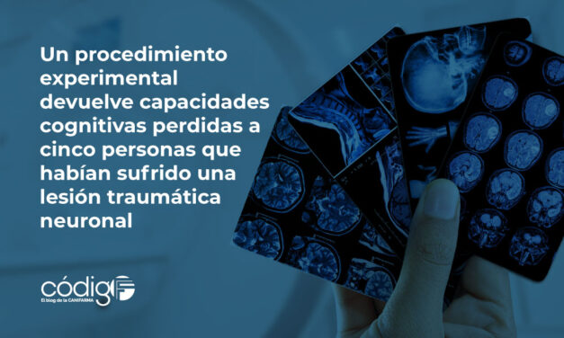 Un procedimiento experimental devuelve capacidades cognitivas perdidas a cinco personas que habían sufrido una lesión traumática neuronal