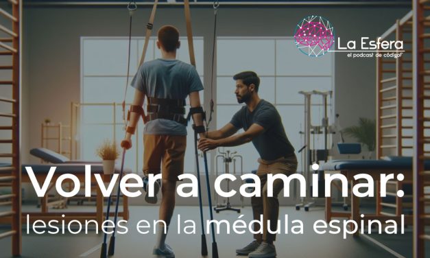 Volver a caminar: lesiones en la médula espinal | 26 de febrero de 2024 | Escúchelo ahora