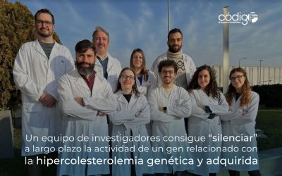 Un equipo de investigadores consigue “silenciar” a largo plazo la actividad de un gen relacionado con la hipercolesterolemia genética y adquirida