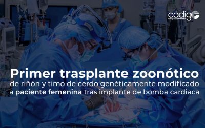 Primer trasplante zoonótico de riñón y timo de cerdo genéticamente modificado a paciente femenina tras implante de bomba cardiaca