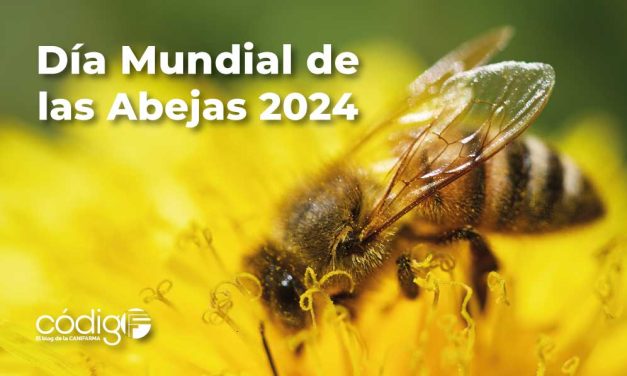 Día Mundial de las Abejas 2024