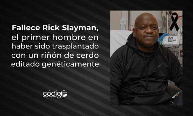 Fallece Rick Slayman, el primer hombre en haber sido trasplantado con un riñón de cerdo editado genéticamente