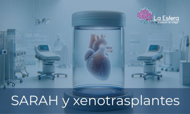 SARAH y xenotrasplantes | 6 de mayo de 2024 | Escúchelo ahora