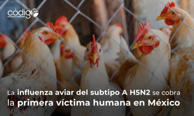 La influenza aviar del subtipo A H5N2 se cobra la primera víctima humana en México