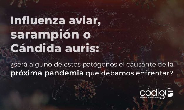 Influenza aviar, sarampión o Cándida auris: ¿será alguno de estos patógenos el causante de la próxima pandemia que debamos enfrentar?