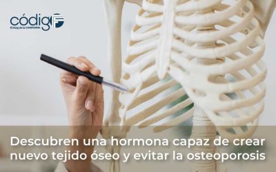 Descubren una hormona capaz de crear nuevo tejido óseo y evitar la osteoporosis