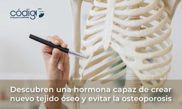 Descubren una hormona capaz de crear nuevo tejido óseo y evitar la osteoporosis