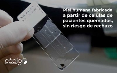 Piel humana fabricada a partir de células de pacientes quemados, sin riesgo de rechazo