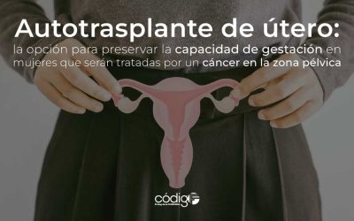 Autotrasplante de útero: la opción para preservar la capacidad de gestación en mujeres que serán tratadas por un cáncer en la zona pélvica