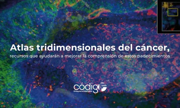 Nuevos Atlas tridimensionales del cáncer, recursos que ayudarán a mejorar la comprensión de estos padecimientos