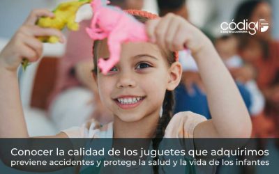 Conocer la calidad de los juguetes que adquirimos previene accidentes y protege la salud y la vida de los infantes
