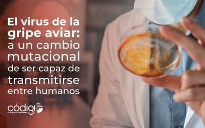 El virus de la gripe aviar: a un cambio mutacional de ser capaz de transmitirse entre humanos