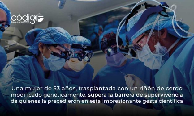 Una mujer de 53 años, trasplantada con un riñón de cerdo modificado genéticamente, supera la barrera de supervivencia de quienes la precedieron en esta impresionante gesta científica