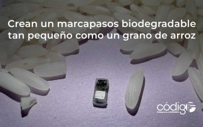 Crean un marcapasos biodegradable tan pequeño como un grano de arroz