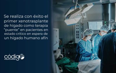 Se realiza con éxito el primer xenotrasplante de hígado como terapia “puente”, en pacientes en estado crítico en espera de un hígado humano afín