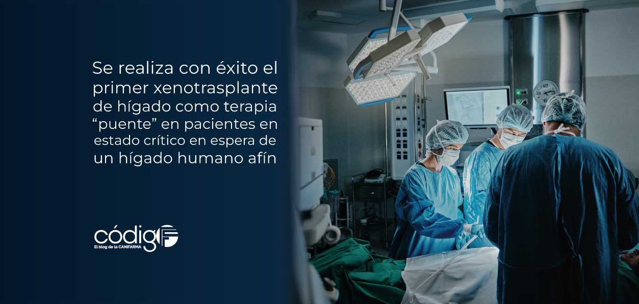 Se realiza con éxito el primer xenotrasplante de hígado como terapia “puente”, en pacientes en estado crítico en espera de un hígado humano afín