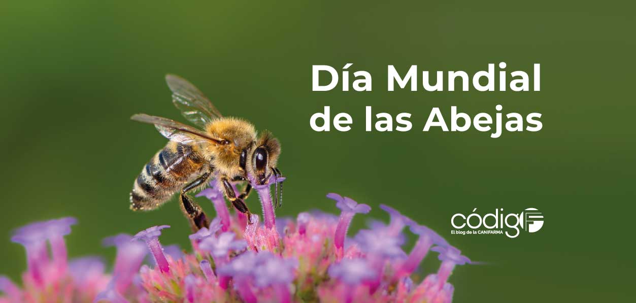 Día Mundial de las Abejas