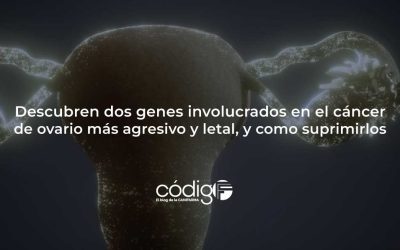 Descubren dos genes involucrados en el cáncer de ovario más agresivo y letal, y como suprimirlos