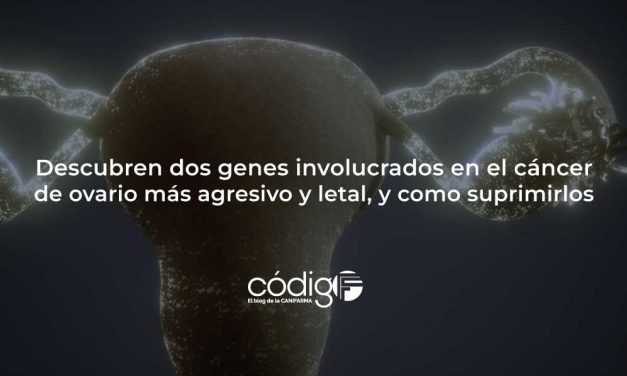 Descubren dos genes involucrados en el cáncer de ovario más agresivo y letal, y como suprimirlos