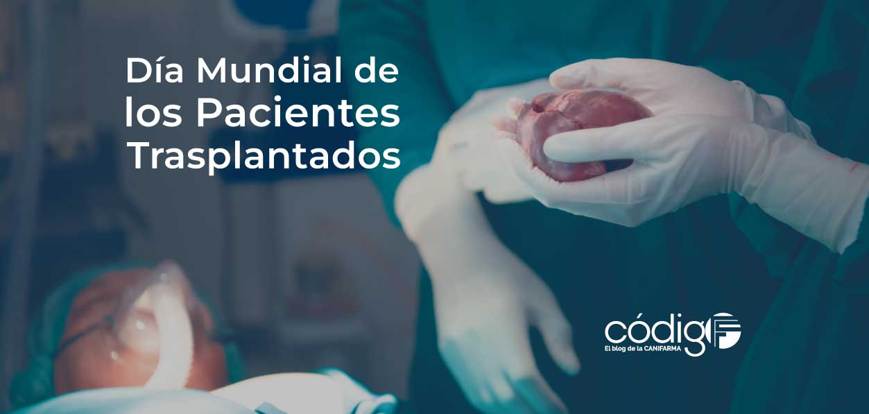 Día Mundial de los Pacientes Trasplantados