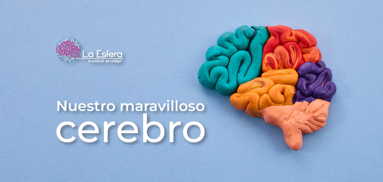 Nuestro maravilloso cerebro | 21 de julio de 2025 | Escúchelo ahora