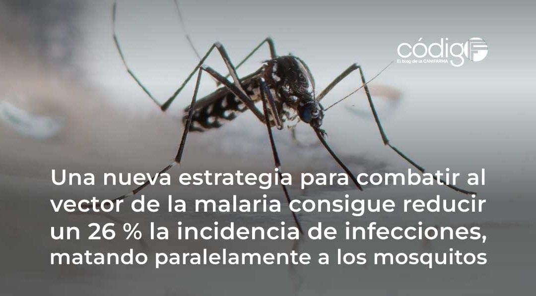 Una nueva estrategia para combatir al vector de la malaria consigue reducir un 26 % la incidencia de infecciones, matando paralelamente a los mosquitos MosquitoIvermectina